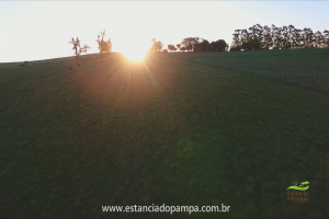 Fazenda Reconquista - Cachoeira do Sul.00_03_19_06.Quadro035_6282277960124f50d9ba63df754401d0499bcabd.png